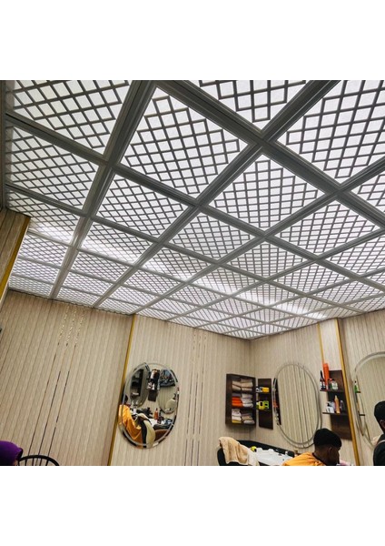 60*60 Sakarya Tavan Panel modelleri