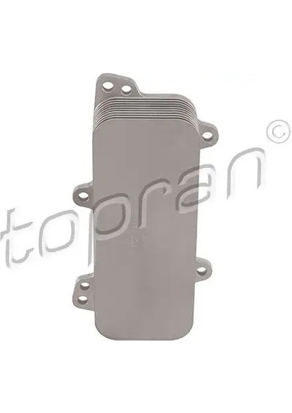 113789001 Motor Yag Sogutucusu 070117021D