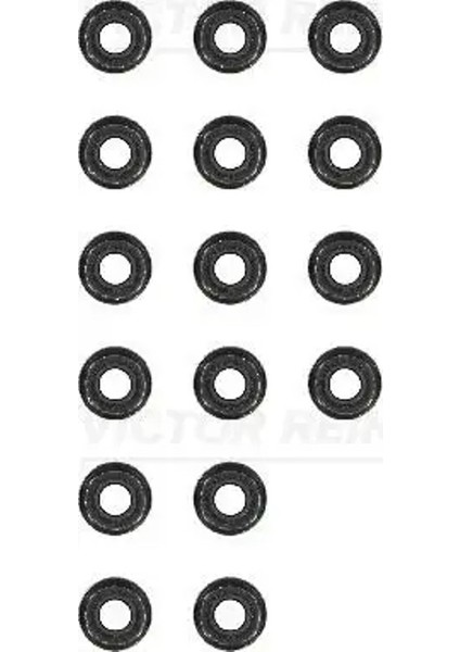 123130612 Supap Lastigi 036109675 095664 11349063193