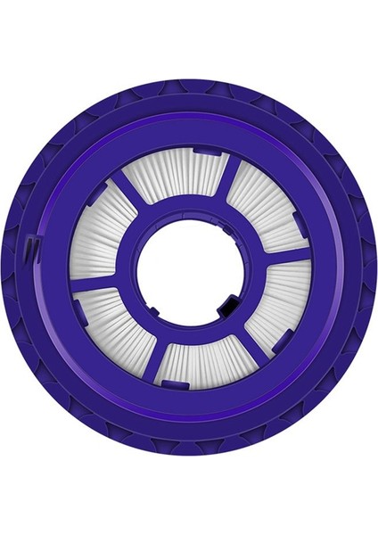 Dyson DC41 DC65 DC65 DC66 Çok Zemin ve Top Vakumları Için Yedek Filtre Hepa Post Motor Filtresi ve Motor Öncesi Filtre (Yurt Dışından)