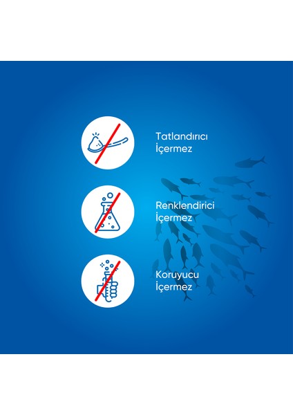 Omega 3 Balık Yağı 1200 Mg 30 Kapsül