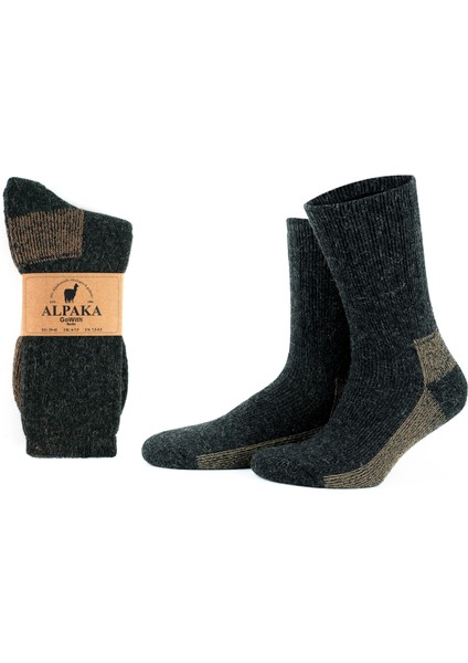 Alpaka Yünlü Tam Havlulu Kalın Termal Çorap 6005-6006