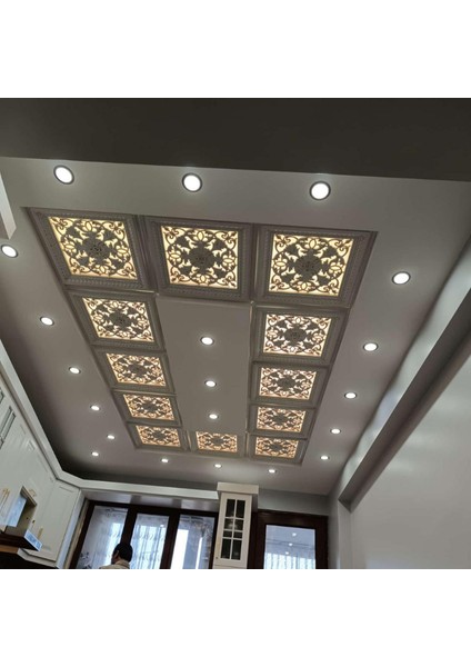 60*60 Avangard Tavan Panel fiyatları