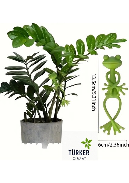 Dekoratif Kurbağa Bitki Askısı ve Pratik Düzenleyici 2 Adet