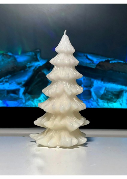 Arbor Noel Doğal Soya Kahve Kokulu Çam Ağacı Mum fiyatları