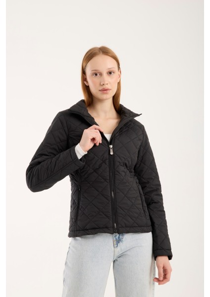 Kadın Baklava Desen Mevsimlik Mont – Hafif Dolgulu, Dik Yaka, Fit Siluet 8787