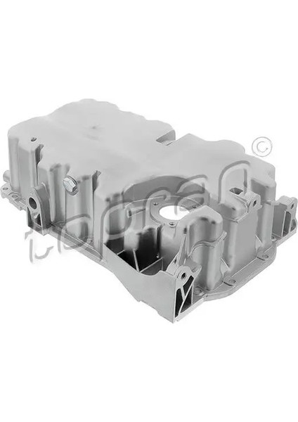 118117001 Yag Karteri 06F103601F 06F103601FA