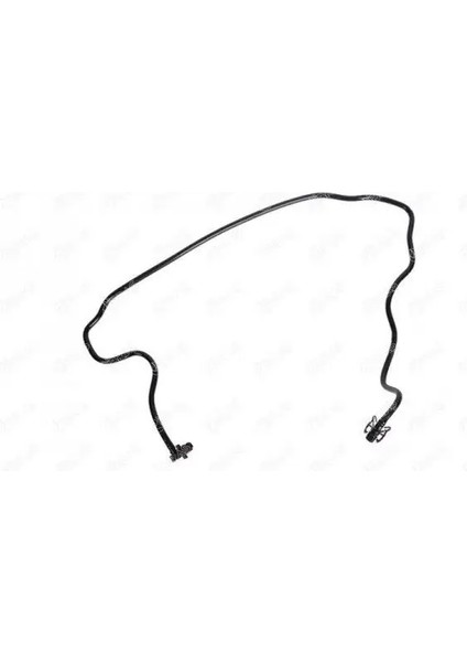 11986 Yedek Su Depo Borusu 217417936R