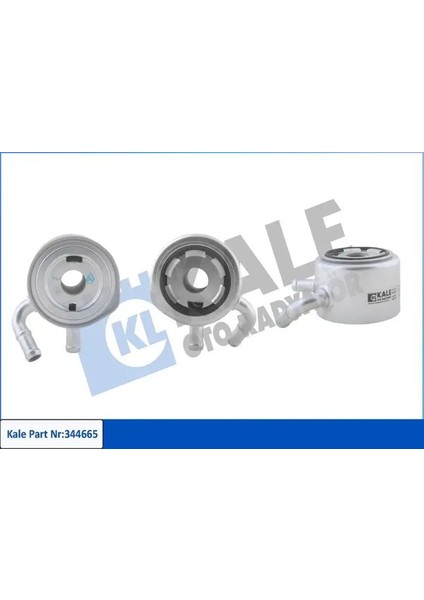 344665 Motor Yag Sogutucusu 8200068115
