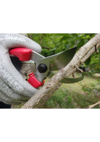 130DX Budama ve Meyve Makası fiyatları