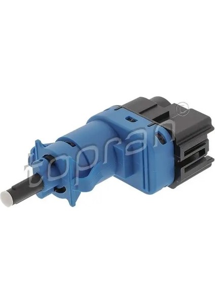 638193001 Fren Musiri 31264377 4838697 5454801