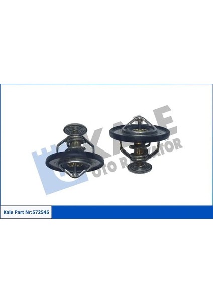 572545 Termostat 1305A191 212001AT1A 21200AD200