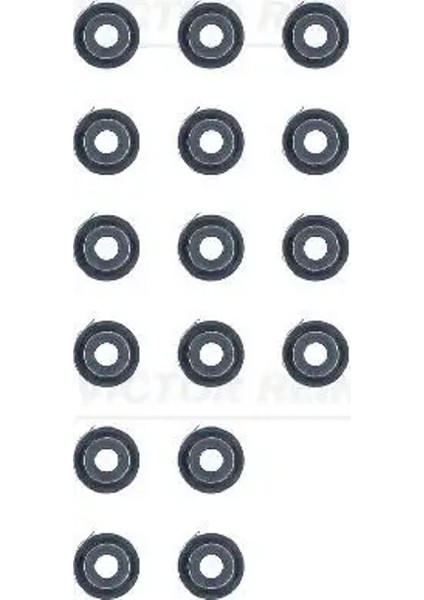 125312901 Supap Lastigi 9004812021 9004812026 9004A31010