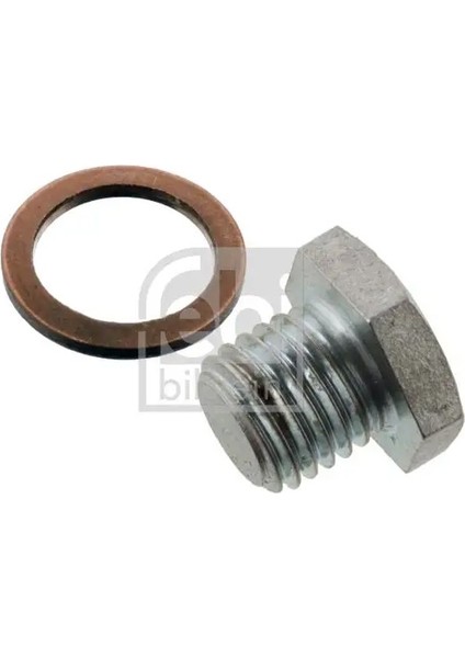 171284 Karter Tapasi 11137553918