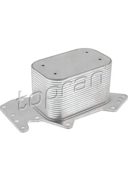 625266001 Motor Yag Sogutucusu 059117021K