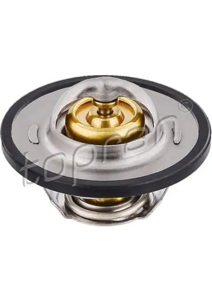 111149001 Termostat 032121110F