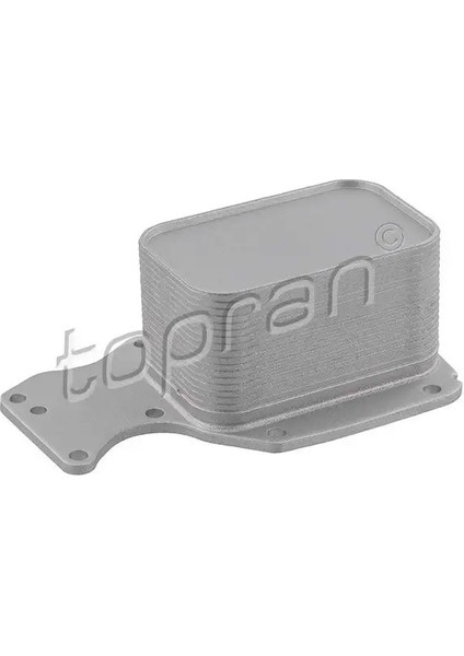 625268001 Motor Yag Sogutucusu 11428585624