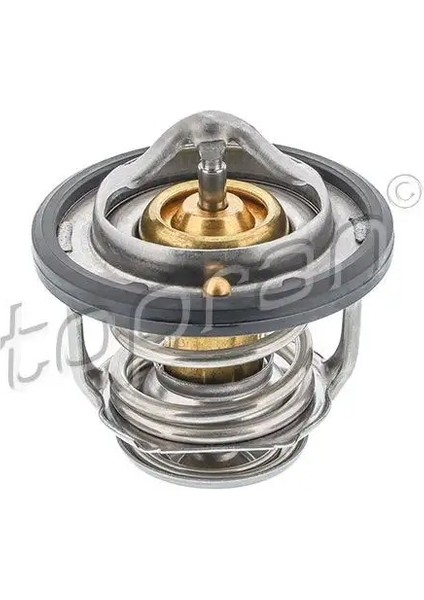 820303001 Termostat 2550002500