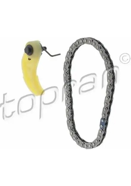 117725001 Yag Pompa Zincir Seti 038198KIT1