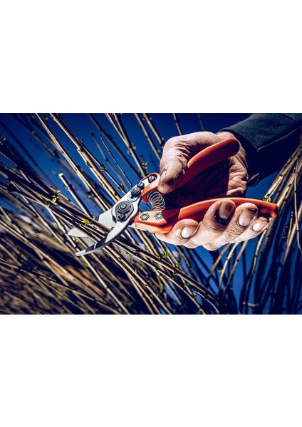 Löwe 11.107 Profesyonel Bypass Budama Makası modelleri