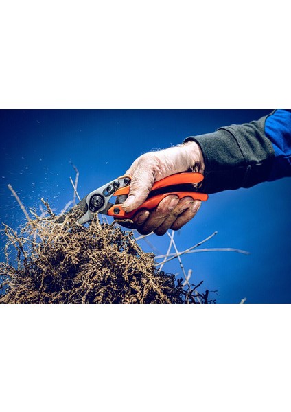 Löwe 11.107 Profesyonel Bypass Budama Makası fırsatları