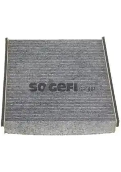 AHC212 Polen Filtresi (Karbonlu) 10709013 1253220 1315687