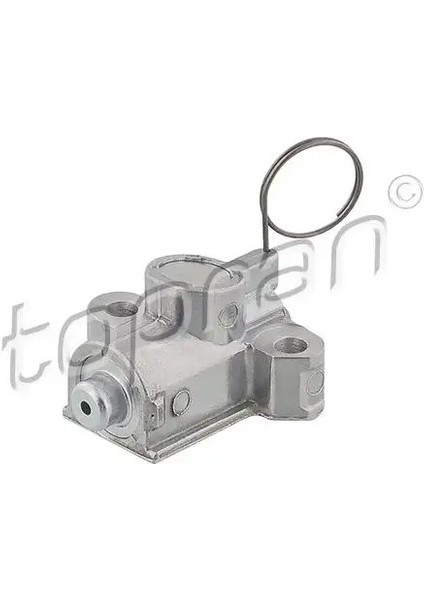 208533001 Eksantrik Zincir Gergisi 5636380 71739356 90537300