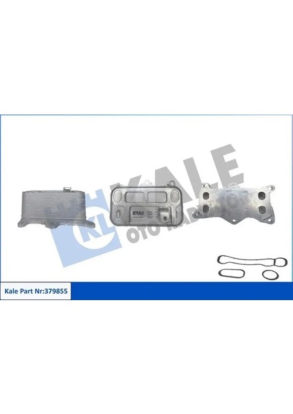 379855 Motor Yag Sogutucusu A6541800265