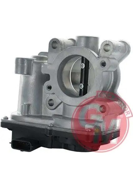 41742 Gaz Kelebegi 161204451R 161206038R