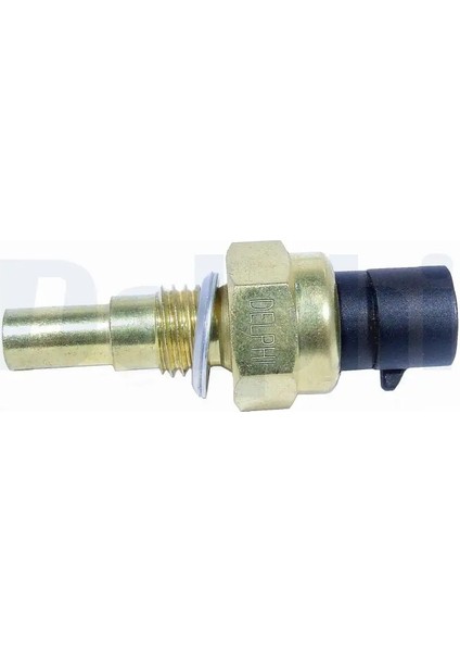 TS10254 Hararet Musiri 12191170 12608814 1338441