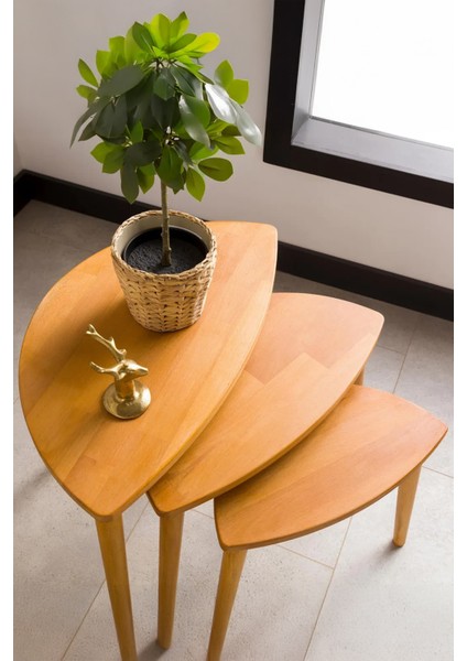 Premium Modern Tasarım 3’lü Masif Doğal Ahşap Zigon Sehpa Seti