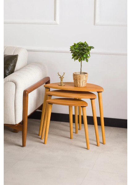 Premium Modern Tasarım 3’lü Masif Doğal Ahşap Zigon Sehpa Seti modelleri