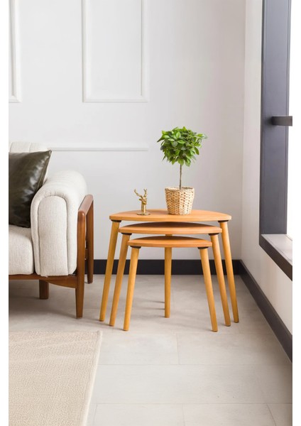 Premium Modern Tasarım 3’lü Masif Doğal Ahşap Zigon Sehpa Seti fırsatları