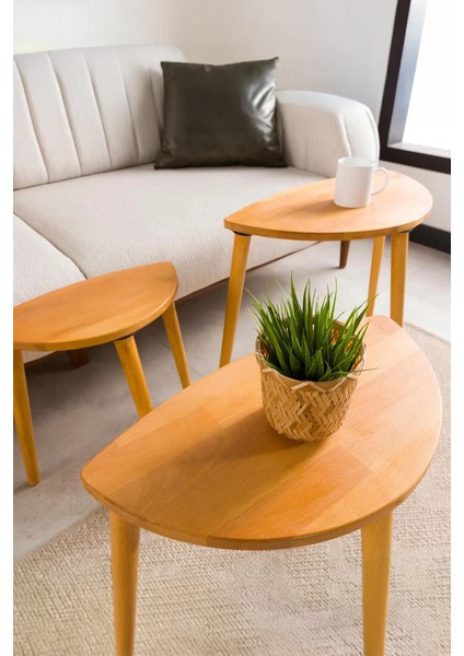 Premium Modern Tasarım 3’lü Masif Doğal Ahşap Zigon Sehpa Seti