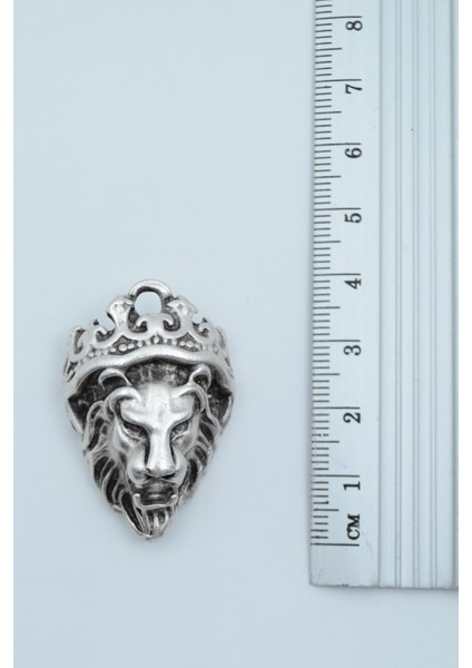 Aslan Kral Gümüş Kaplama Deri Ip Kolye modelleri