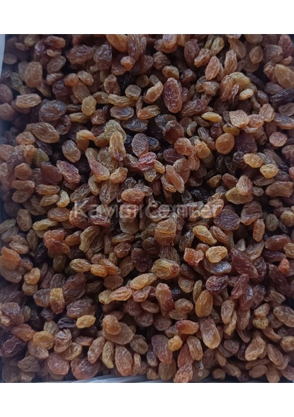 Izmir Çekirdeksiz Üzüm 10 kg indirimleri