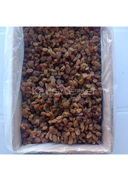 Izmir Çekirdeksiz Üzüm 10 kg