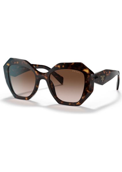 PR16WS 2AU6S1 53-20-145 Kadın Güneş Gözlüğü