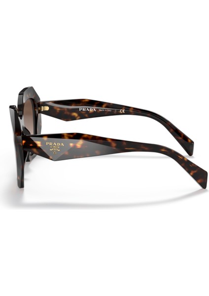 PR16WS 2AU6S1 53-20-145 Kadın Güneş Gözlüğü fiyatları