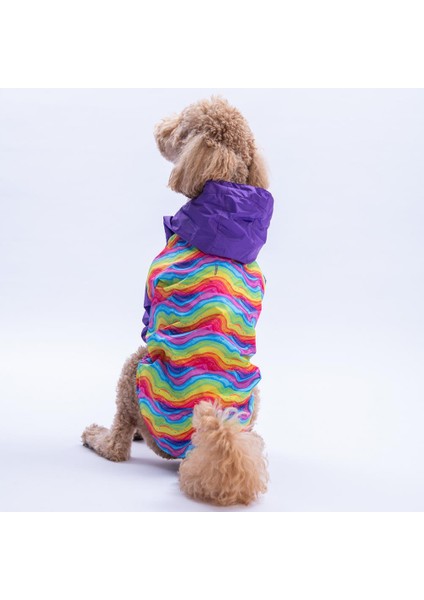 Rio Rainbow Mor Gökkuşağı Desenli Büyük Irk Köpek Montu Köpek Yağmurluğu Köpek Kıyafeti Köpek Elbisesi modelleri