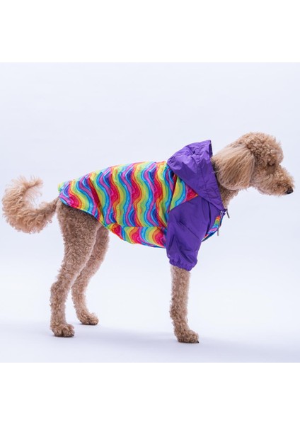 Rio Rainbow Mor Gökkuşağı Desenli Büyük Irk Köpek Montu Köpek Yağmurluğu Köpek Kıyafeti Köpek Elbisesi fırsatları