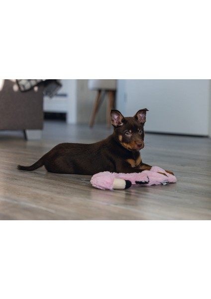 Techmrt Beeztees Yavru Köpek Oyuncağı, Flamingo, Peluş, Pembe, 43X24X4CM fiyatları