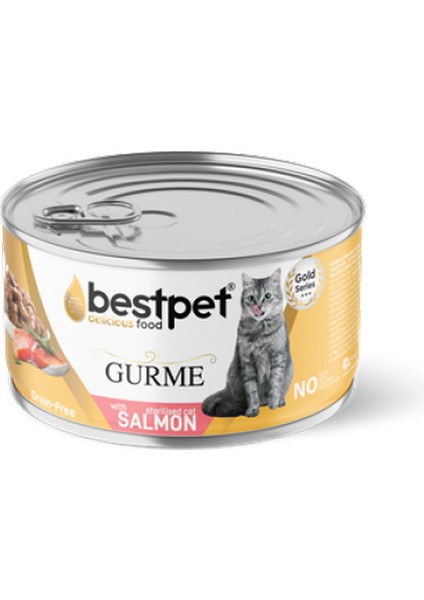Techmrt Bestpet 85 gr x 24 Adet Kısırlaştırılmış Yetişkin Kediler Için Tahılsız, Jöle Içinde Somon Parça Etli Yaş Mama