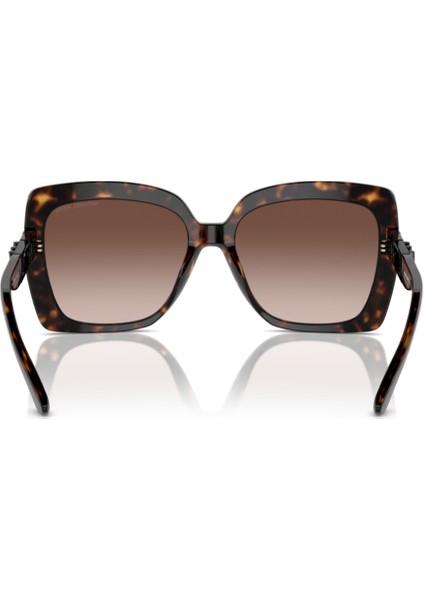 Mıchael Kors MK2213 300613 57-17-140 Kadın Güneş Gözlüğü modelleri