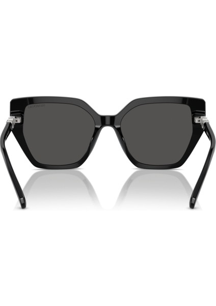 Swarovskı SK6016 100187 56-18-140 Kadın Güneş Gözlüğü modelleri