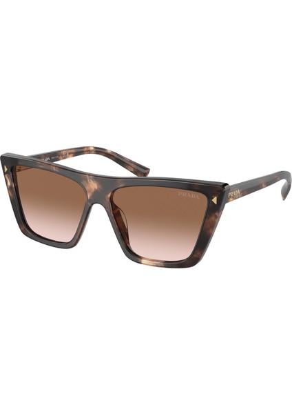 PR21ZS 07R-0A6 55-14-145 Kadın Güneş Gözlüğü
