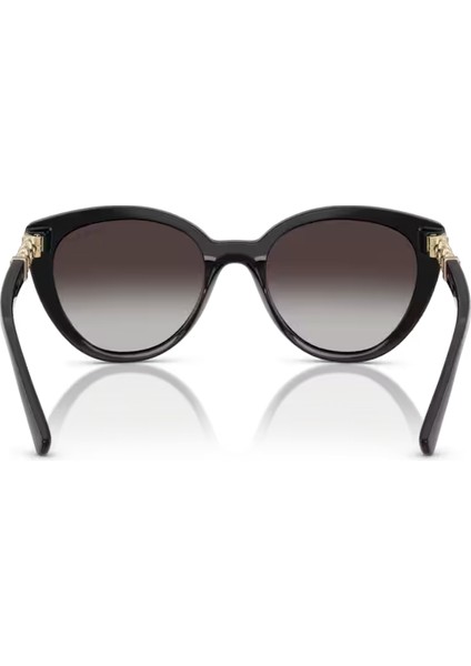 Vo VO5634SB W44/8G 53-19-140 Kadın Güneş Gözlüğü modelleri