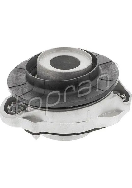 724037001 Amortisor Takozu Arka Sag 1374667080 1612735980