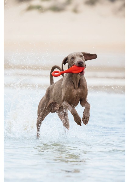 Techmrt Beeztees Köpek Oyuncağı, Yüzen, Şamandıra, Tpr, Kırmızı, 28X13X8CM modelleri