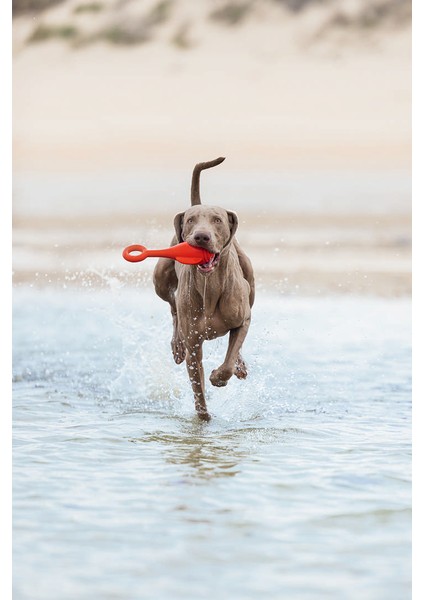 Techmrt Beeztees Köpek Oyuncağı, Yüzen, Şamandıra, Tpr, Kırmızı, 28X13X8CM fırsatları